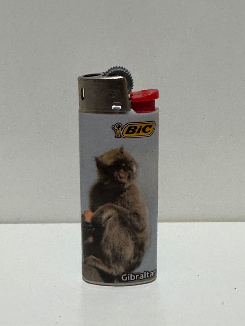 BIC Gibraltar Barbary macaque lighter – photo print