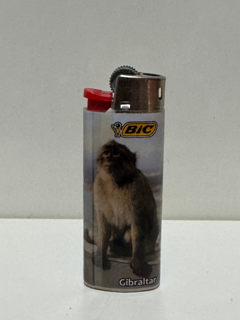 BIC Gibraltar Barbary macaque lighter – photo print